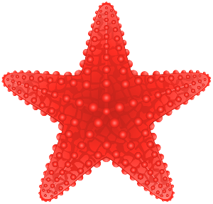 a red starfish 